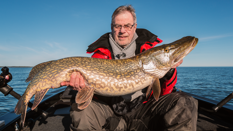 Läs mer om artikeln Pappa bänder Vänerngris