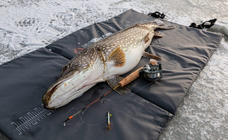 Läs mer om artikeln PB på Pimpelgädda!