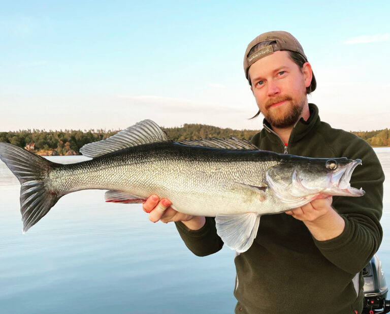 Läs mer om artikeln Höstfisket är igång!