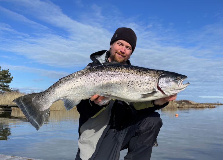 Läs mer om artikeln Öring PB på Vänern (+film)