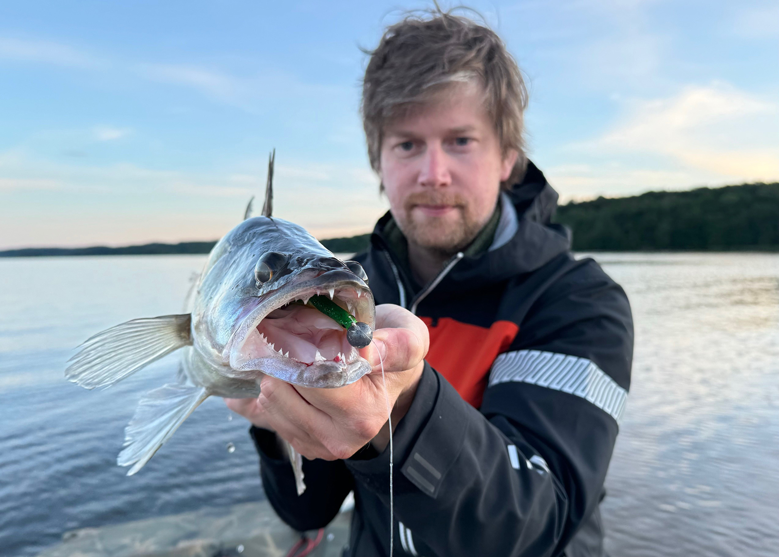 Läs mer om artikeln Hett sommarfiske efter gös